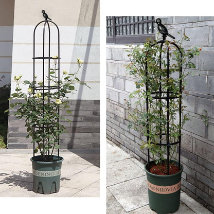 Garden Trellis for Climbing Plants Outdoor, Metal Plant Trellis with PE Coated, Rustproof Plant Support for Flowers Vegetable Vine, Tomato cage for Potted Plants Indoor Outdoor,Lightweight - 2 Pack