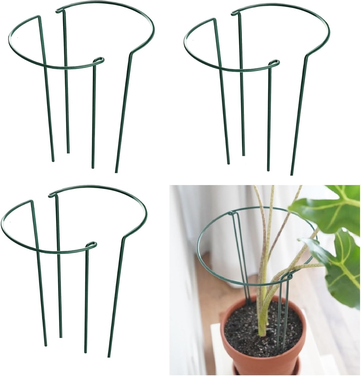 12 Pack 13.8 Inch High Plant Stake,Garden Plant Support,Half-Round Peony Cage Plant Ring Hoop
