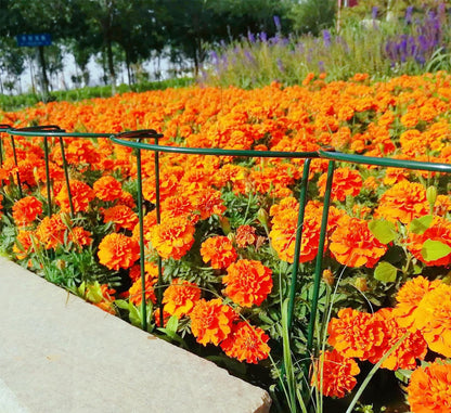 12 Pack 13.8 Inch High Plant Stake,Garden Plant Support,Half-Round Peony Cage Plant Ring Hoop