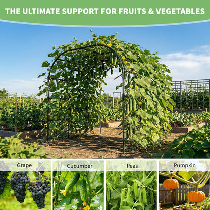 Garden Arch Trellis, 87''H x 75''L Metal Trellis for Climbing Plants