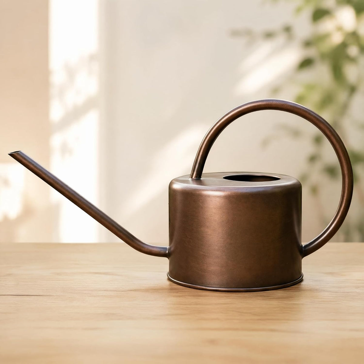 DUSVALLY 32oz Metal Watering Can for Indoor Plants, Long Spout Watering Can