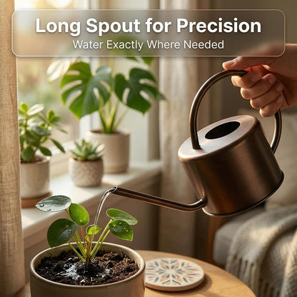 DUSVALLY 32oz Metal Watering Can for Indoor Plants, Long Spout Watering Can