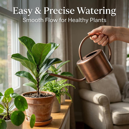 DUSVALLY 32oz Metal Watering Can for Indoor Plants, Long Spout Watering Can