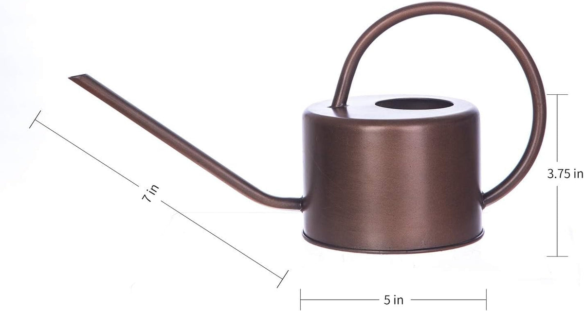 DUSVALLY 32oz Metal Watering Can for Indoor Plants, Long Spout Watering Can