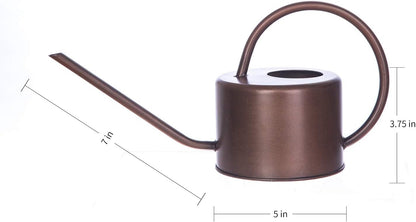DUSVALLY 32oz Metal Watering Can for Indoor Plants, Long Spout Watering Can