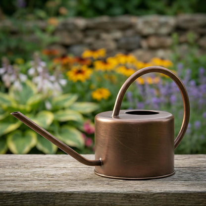 DUSVALLY 32oz Metal Watering Can for Indoor Plants, Long Spout Watering Can