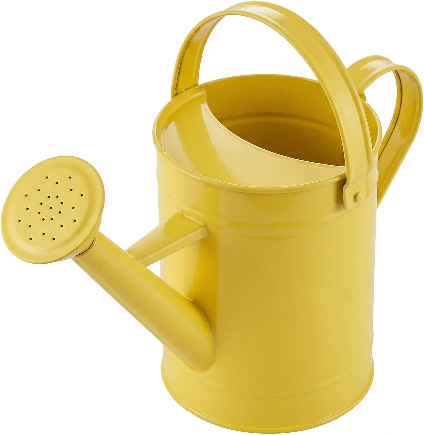 DUSVALLY 32oz Metal Watering Can for Indoor Plants, Long Spout Watering Can