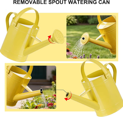 DUSVALLY 32oz Metal Watering Can for Indoor Plants, Long Spout Watering Can