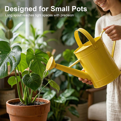 DUSVALLY 32oz Metal Watering Can for Indoor Plants, Long Spout Watering Can