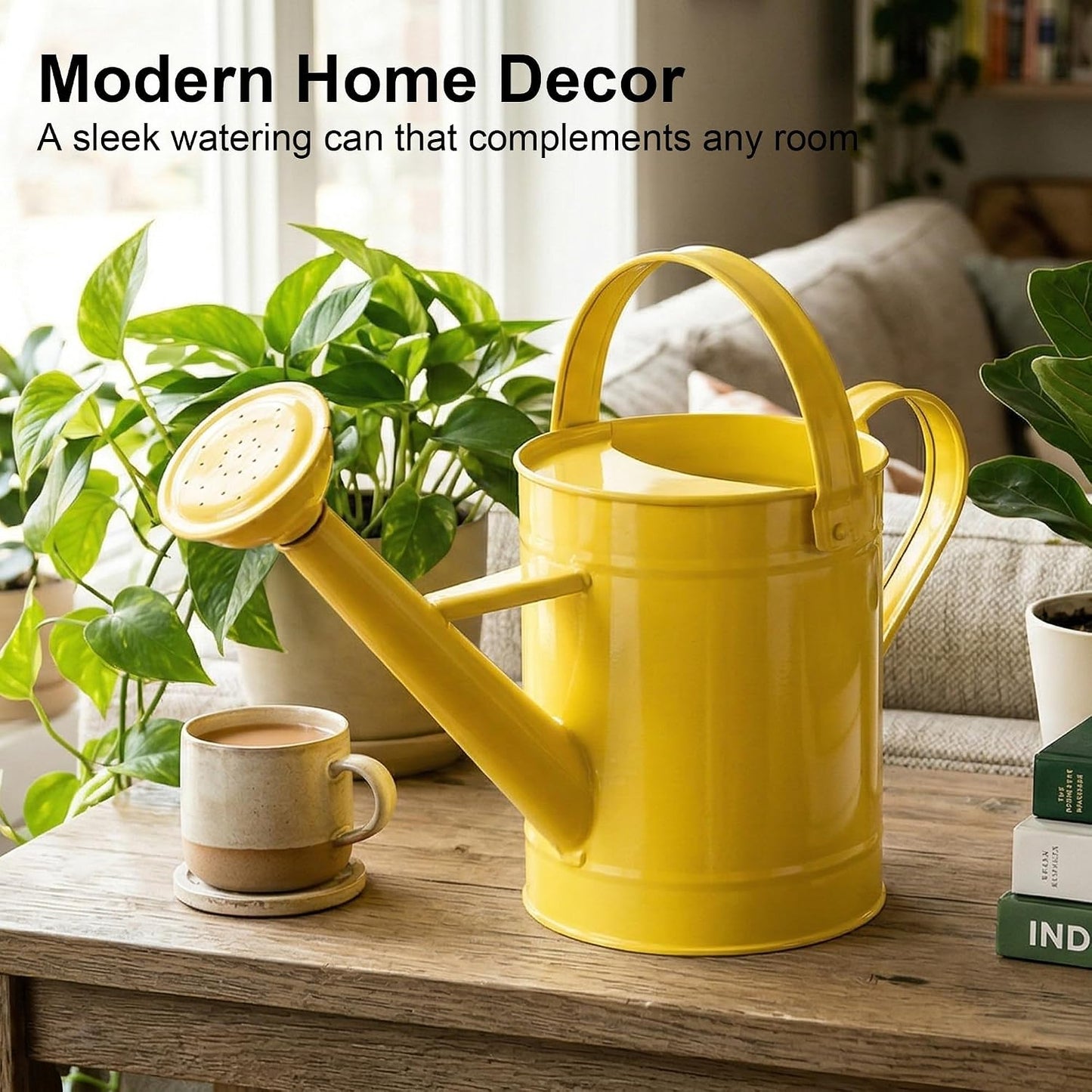 DUSVALLY 32oz Metal Watering Can for Indoor Plants, Long Spout Watering Can