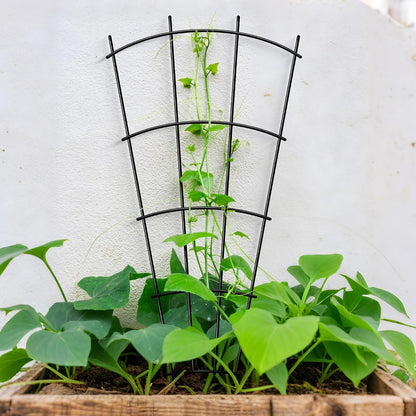 Thealyn 32" Metal Plant Trellis, Climbing Plant Support, 4 Pack Black