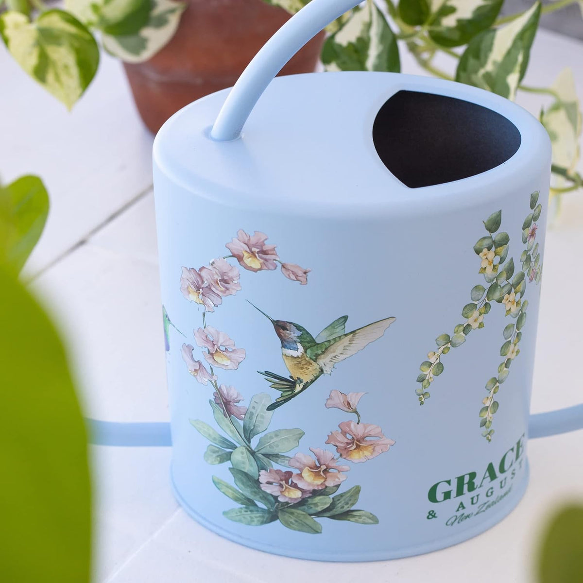 Indoor Watering Can & Mist Spray Bottle Set for Indoor Plants - Decorative