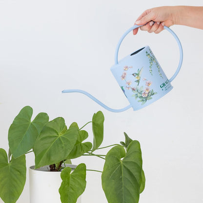 Indoor Watering Can & Mist Spray Bottle Set for Indoor Plants - Decorative
