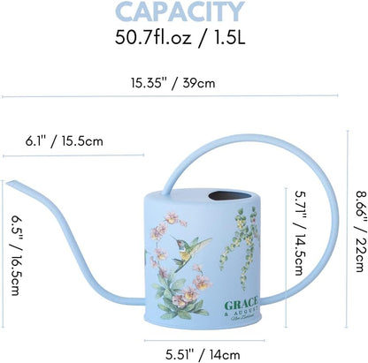 Indoor Watering Can & Mist Spray Bottle Set for Indoor Plants - Decorative