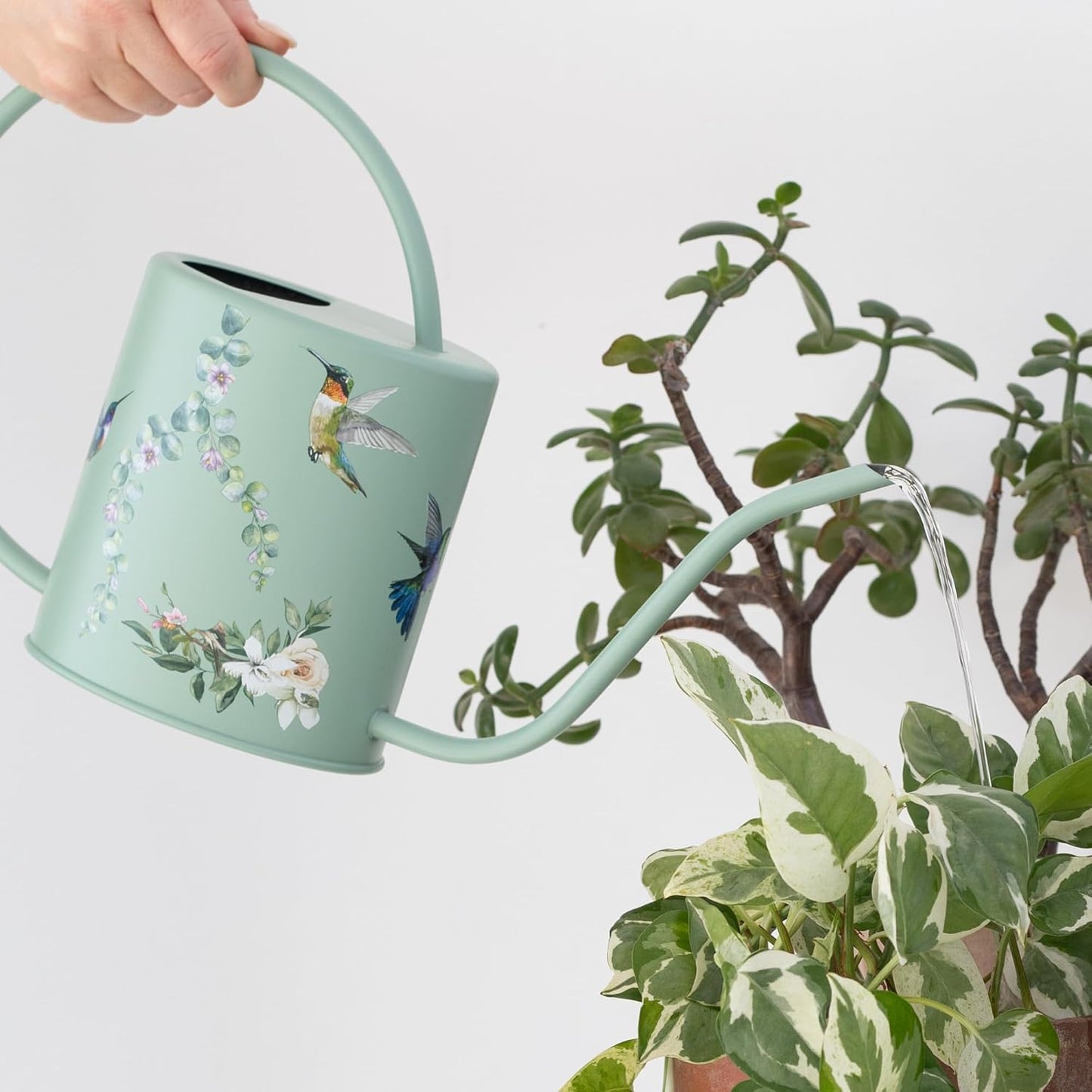 Indoor Watering Can & Mist Spray Bottle Set for Indoor Plants - Decorative