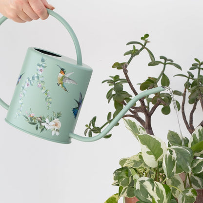 Indoor Watering Can & Mist Spray Bottle Set for Indoor Plants - Decorative