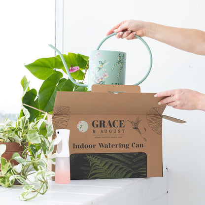 Indoor Watering Can & Mist Spray Bottle Set for Indoor Plants - Decorative