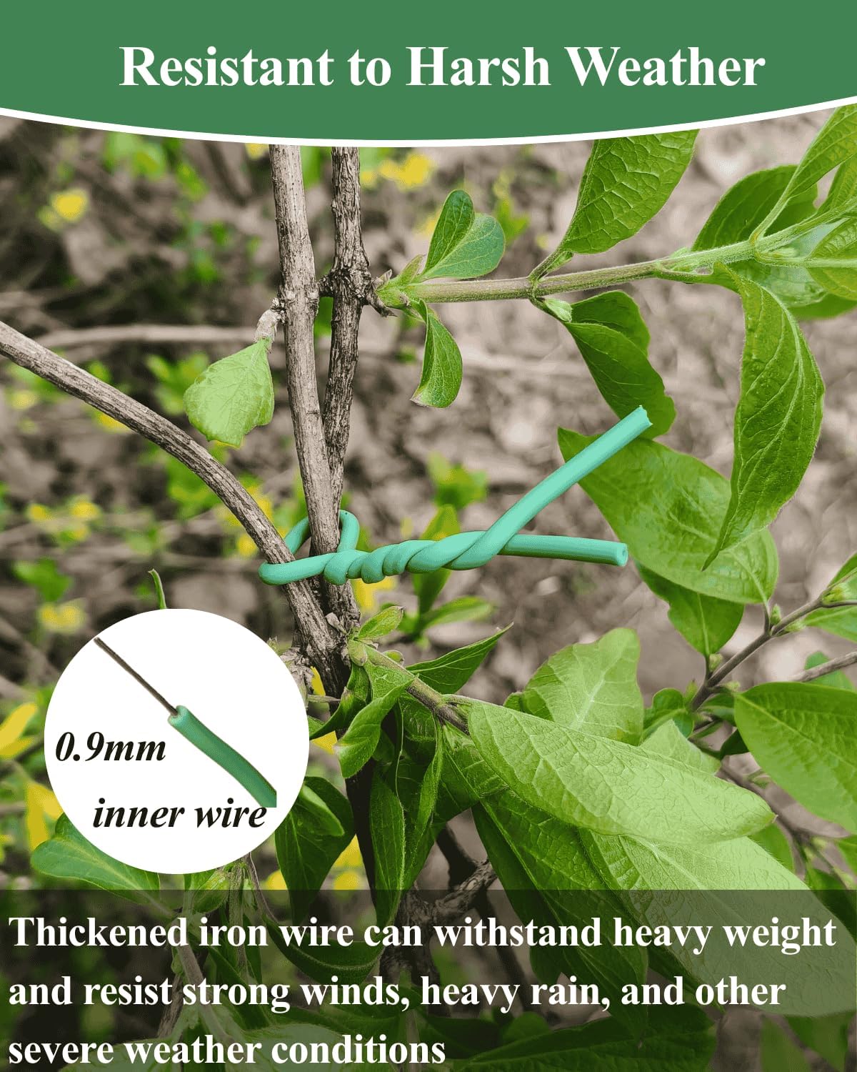 Plant Ties for Climbing Plants,Garden Wire for Plants Training,Soft Plant Ties for Supporting Tomatoes,Cucumbers, Roses,Vines Indoor or Outdoor (100 Feet,Green,Diameter 2.5mm)