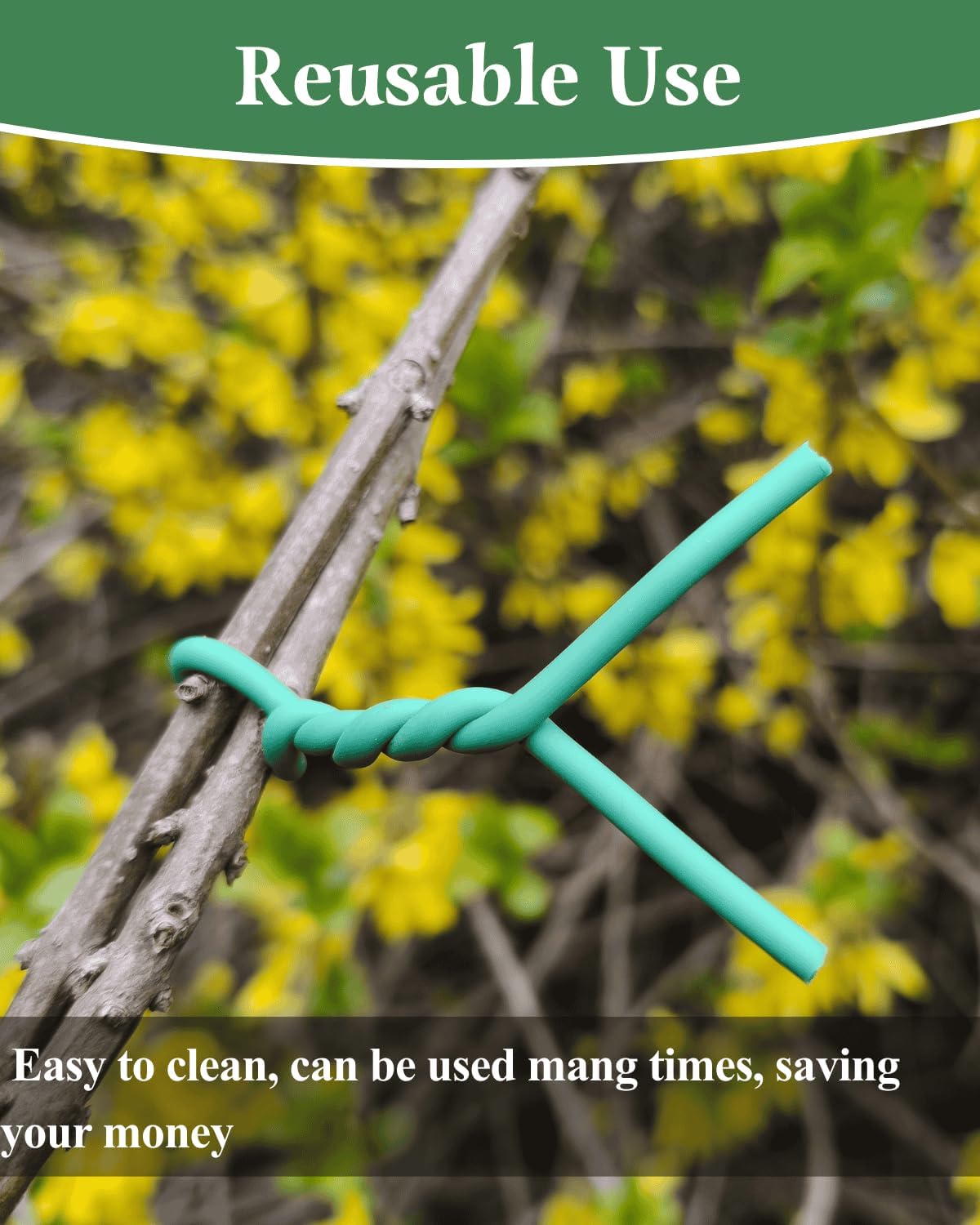 Plant Ties for Climbing Plants,Garden Wire for Plants Training,Soft Plant Ties for Supporting Tomatoes,Cucumbers, Roses,Vines Indoor or Outdoor (100 Feet,Green,Diameter 2.5mm)