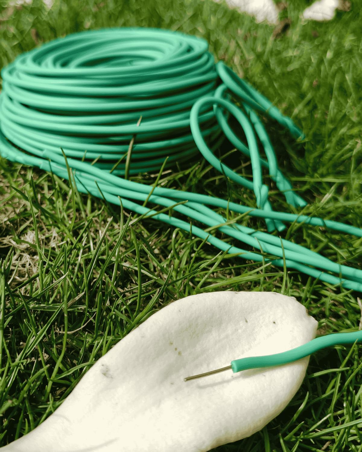 Plant Ties for Climbing Plants,Garden Wire for Plants Training,Soft Plant Ties for Supporting Tomatoes,Cucumbers, Roses,Vines Indoor or Outdoor (100 Feet,Green,Diameter 2.5mm)