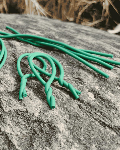 Plant Ties for Climbing Plants,Garden Wire for Plants Training,Soft Plant Ties for Supporting Tomatoes,Cucumbers, Roses,Vines Indoor or Outdoor (100 Feet,Green,Diameter 2.5mm)