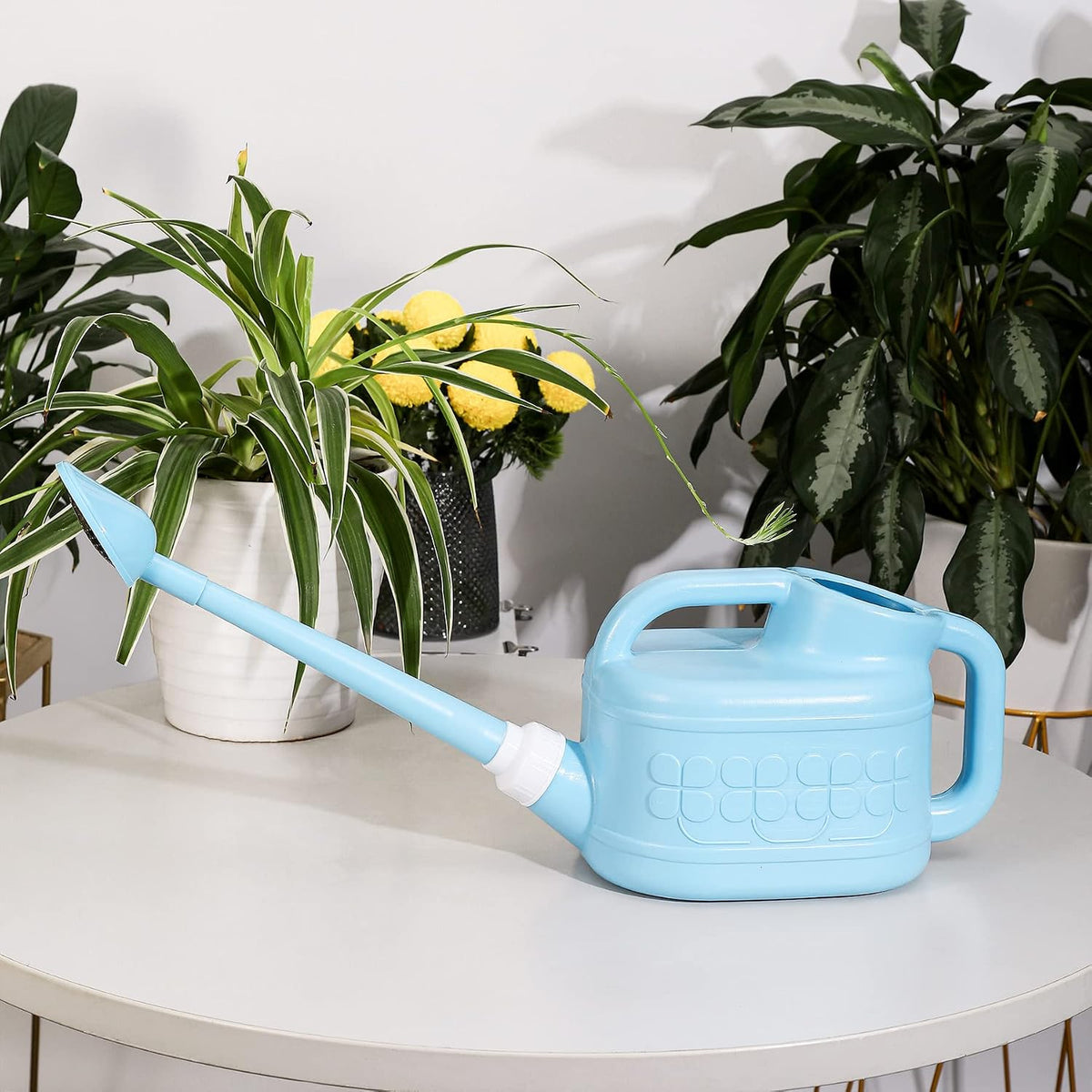Garden Watering Can for Indoor & Outdoor Plants, Plastic Watering Can 1 Gallon with Long Spout & Removable 360 Degree Rotation Sprinkler Head, Lightweight Watering Pot for Houseplants - Blue