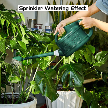 Garden Watering Can for Indoor & Outdoor Plants, Plastic Watering Can 1 Gallon with Long Spout & Removable 360 Degree Rotation Sprinkler Head, Lightweight Watering Pot for Houseplants - Blue