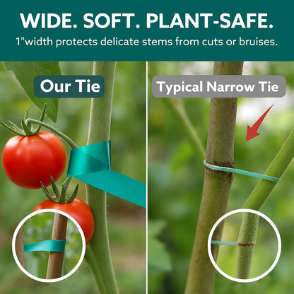 Plant Tie Tape, 1 in x 197 ft Stretchable Green Garden Tape for Plants, Soft Non-Adhesive PVC Plant Ties for Tomatoes, Grapes, Vines, Trees, Branches & Climbing Plants