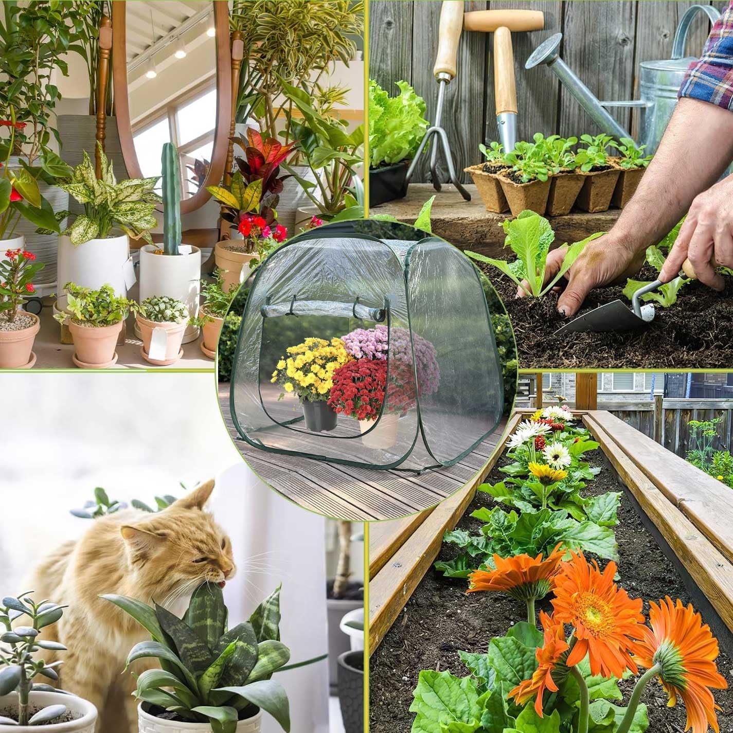 Plant Mini Greenhouse Pop Up Greenhouse Covers, Transparent Freeze Protection PVC Tent with Roll-up Zipper Entry Doors for Indoor and Outdoor Gardens Protecting Plant from Cold Frost (PVC, 39x39x39in)