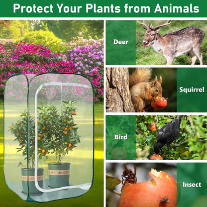Plant Mini Greenhouse Pop Up Greenhouse Covers, Transparent Freeze Protection PVC Tent with Roll-up Zipper Entry Doors for Indoor and Outdoor Gardens Protecting Plant from Cold Frost (PVC, 39x39x39in)