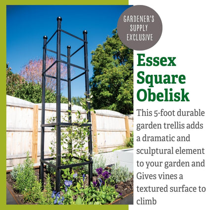 Essex Square Obelisk, 5 Feet Tall Large Steel Tower Trellis for Garden | Perfect for Climbing Plants & Vining Flowers - Black