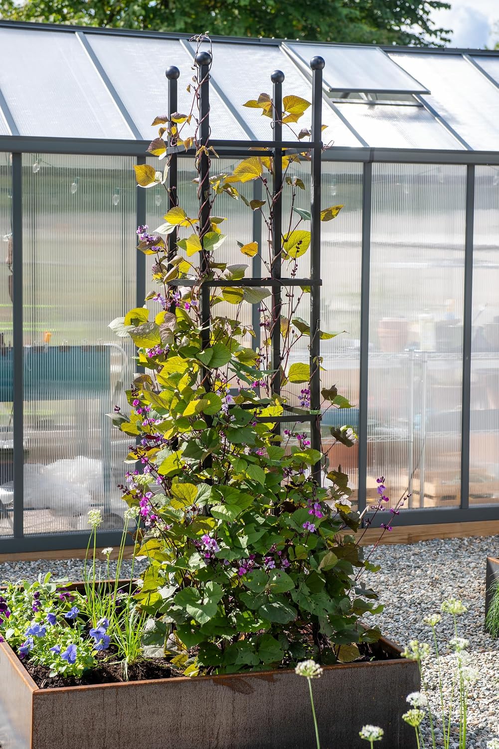 Essex Square Obelisk, 5 Feet Tall Large Steel Tower Trellis for Garden | Perfect for Climbing Plants & Vining Flowers - Black