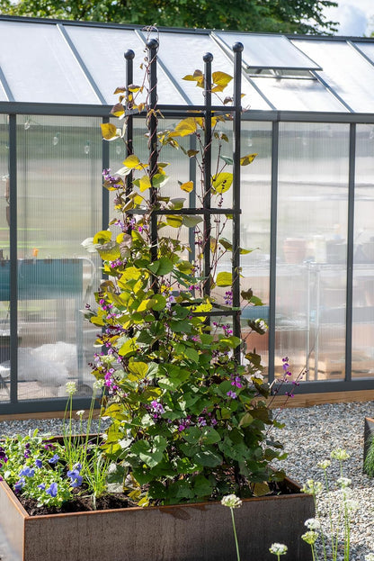 Essex Square Obelisk, 5 Feet Tall Large Steel Tower Trellis for Garden | Perfect for Climbing Plants & Vining Flowers - Black