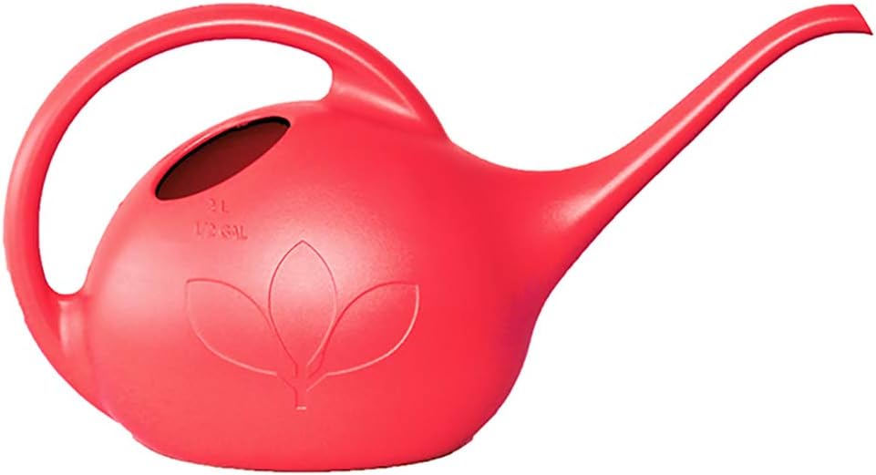 30602, Pearl Indoor Watering Can, 1/2 Gallon
