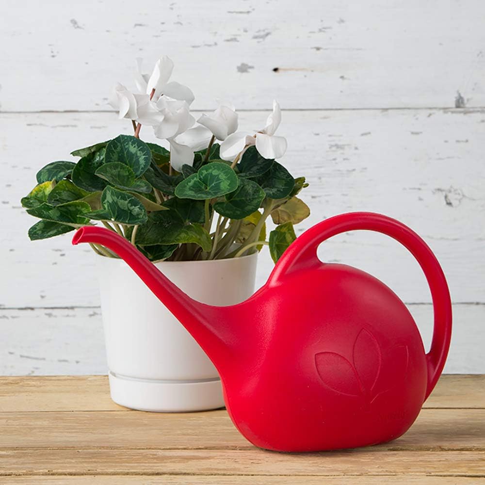 30602, Pearl Indoor Watering Can, 1/2 Gallon