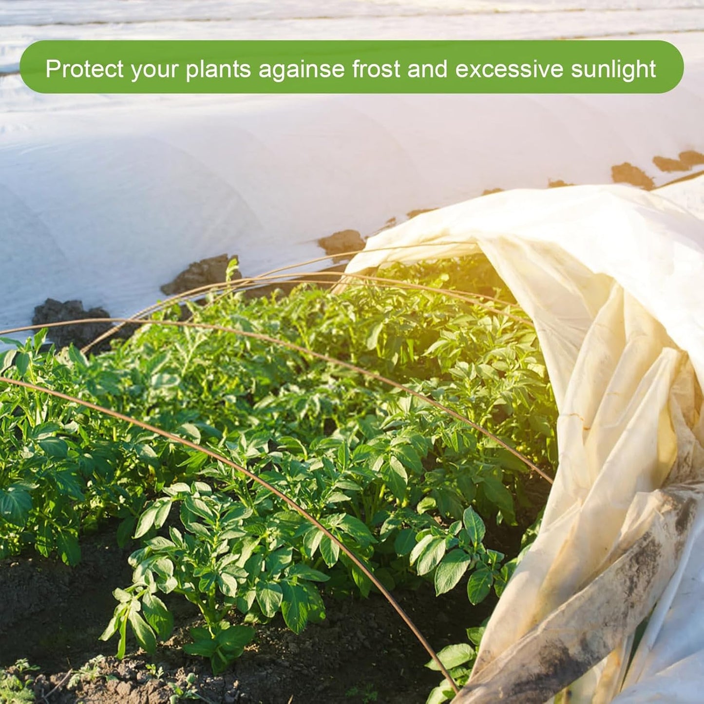 Plant Freezes Protection Cover,Rapid Growth Plant Cover in Promotion Cold Weather,Breathable Windproof Floating Row Cover,Protective Floating Row Covers for Plants,Gardens 300x1000cm