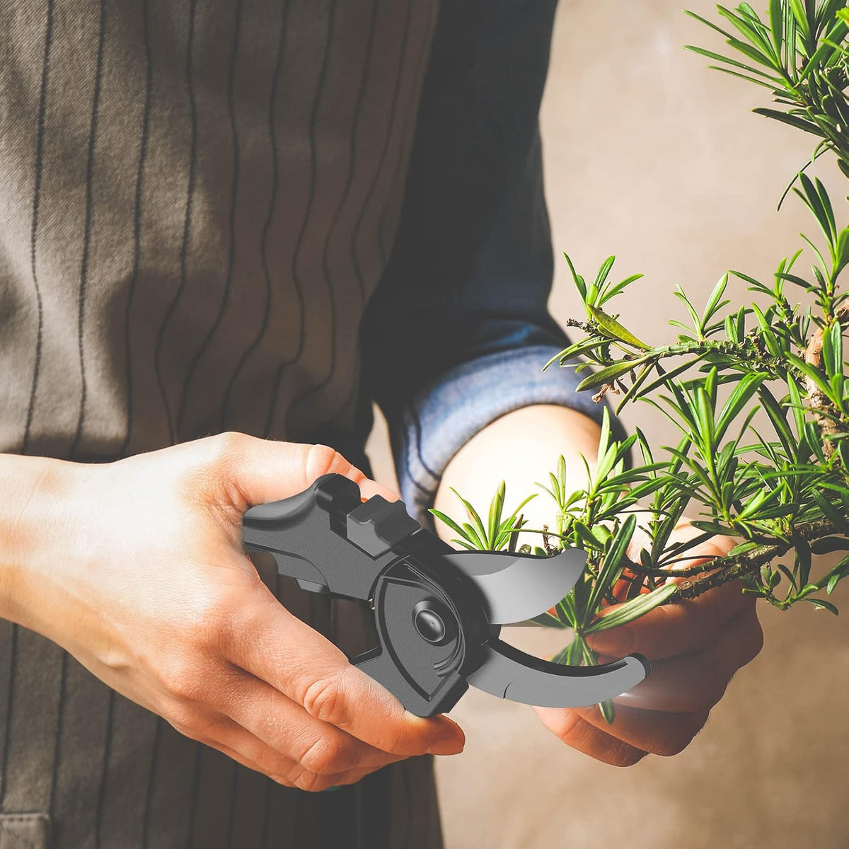 6.6” Stainless Steel Pruning Shear.