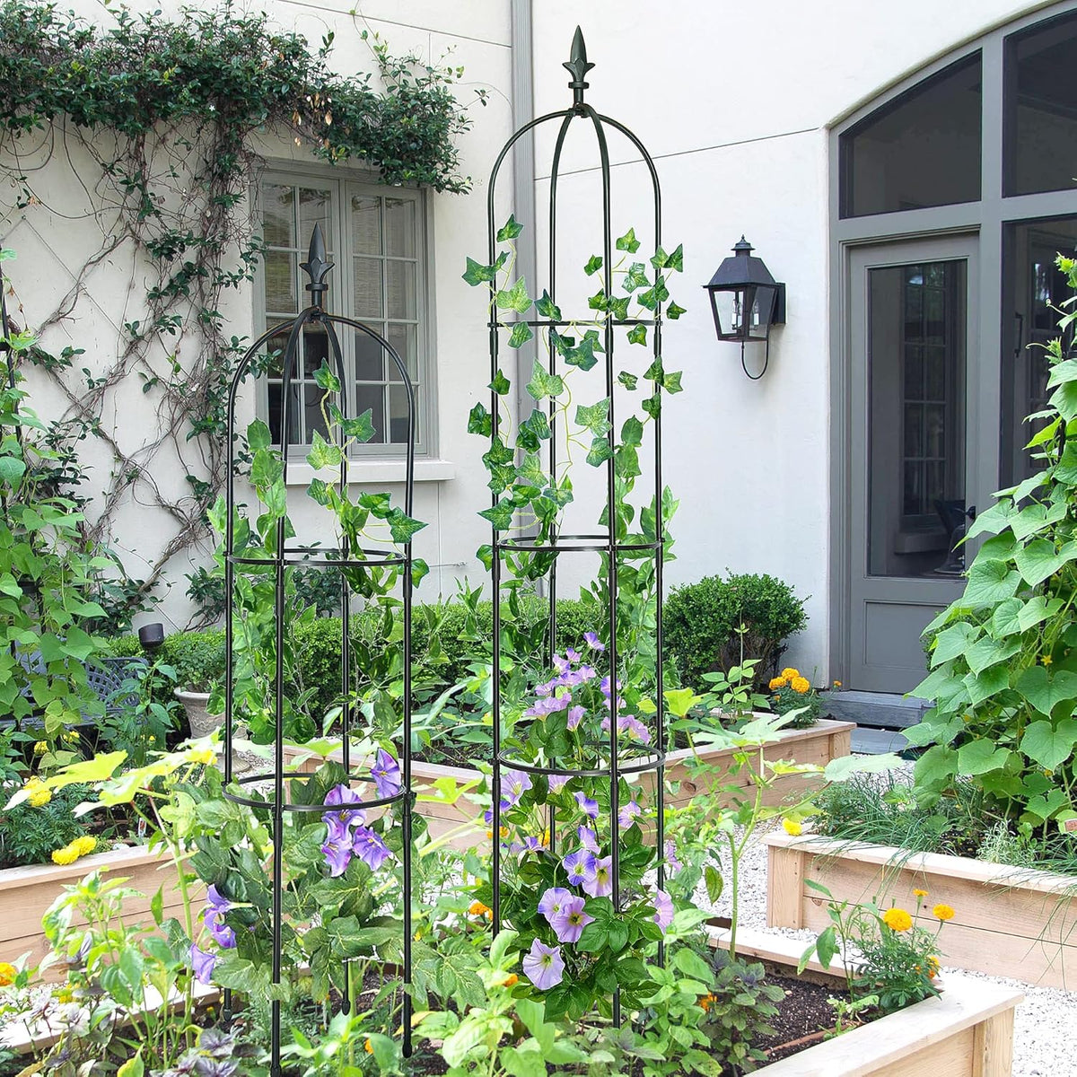 Garden Obelisk Trellis for Climbing Plants Outdoor 6 Ft Rose Bush Round Trellis for Pots Rustproof Metal Plant Flower Trellises for Clematis Vine Jasmine Support Outdoor Indoor