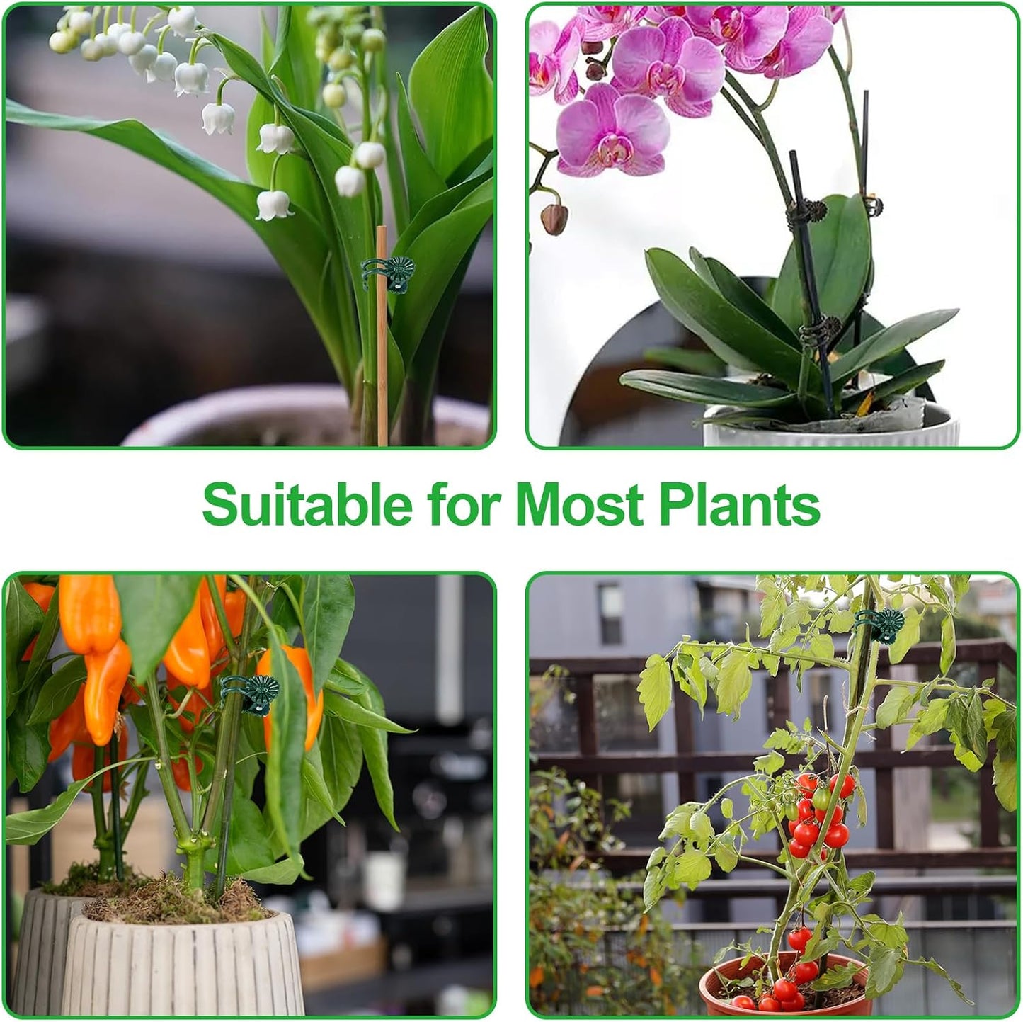 50 Pcs Plant Clips Orchid Clips,Plant Orchid Support Clips,Flower and Vine Clips，Garden Clips，Plant Clips for Climbing Plants