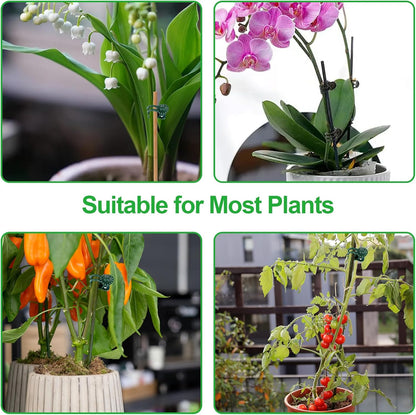 50 Pcs Plant Clips Orchid Clips,Plant Orchid Support Clips,Flower and Vine Clips，Garden Clips，Plant Clips for Climbing Plants