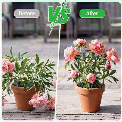 2 Pcs 24" H x 20" D Large Peony Cage and Support Grow Through Plant Supports Round Garden Flower Stake Plants Ring Hoop for Outdoor Floral Tomato Vegetable Improve Planting Success Rate