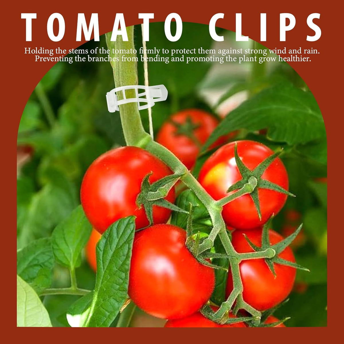 300 PCS Plant Support Clips, Plastic Garden Plant Ties, Tomato Clips Trellis for Tomato Cucumber Flower Squash Vine, 1” Inner Diameter for Climbing Plants