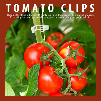 300 PCS Plant Support Clips, Plastic Garden Plant Ties, Tomato Clips Trellis for Tomato Cucumber Flower Squash Vine, 1” Inner Diameter for Climbing Plants