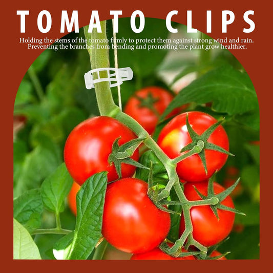 300 PCS Plant Support Clips, Plastic Garden Plant Ties, Tomato Clips Trellis for Tomato Cucumber Flower Squash Vine, 1” Inner Diameter for Climbing Plants