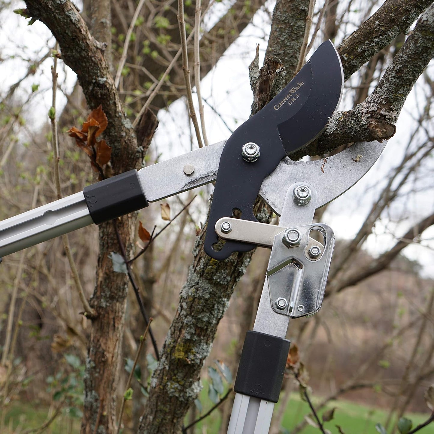 Tree Trimmer Loppers with 26" - 40" Long Handles