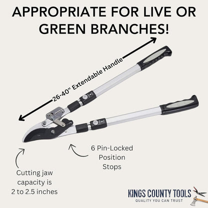 Tree Trimmer Loppers with 26" - 40" Long Handles