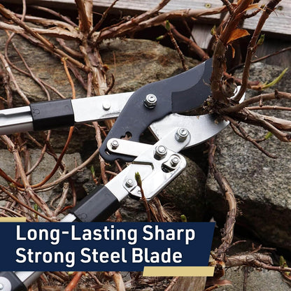 Tree Trimmer Loppers with 26" - 40" Long Handles