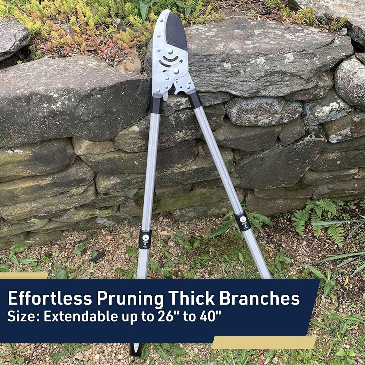 Tree Trimmer Loppers with 26" - 40" Long Handles