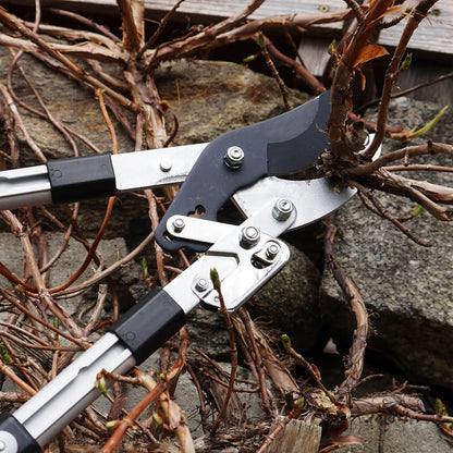 Tree Trimmer Loppers with 26" - 40" Long Handles