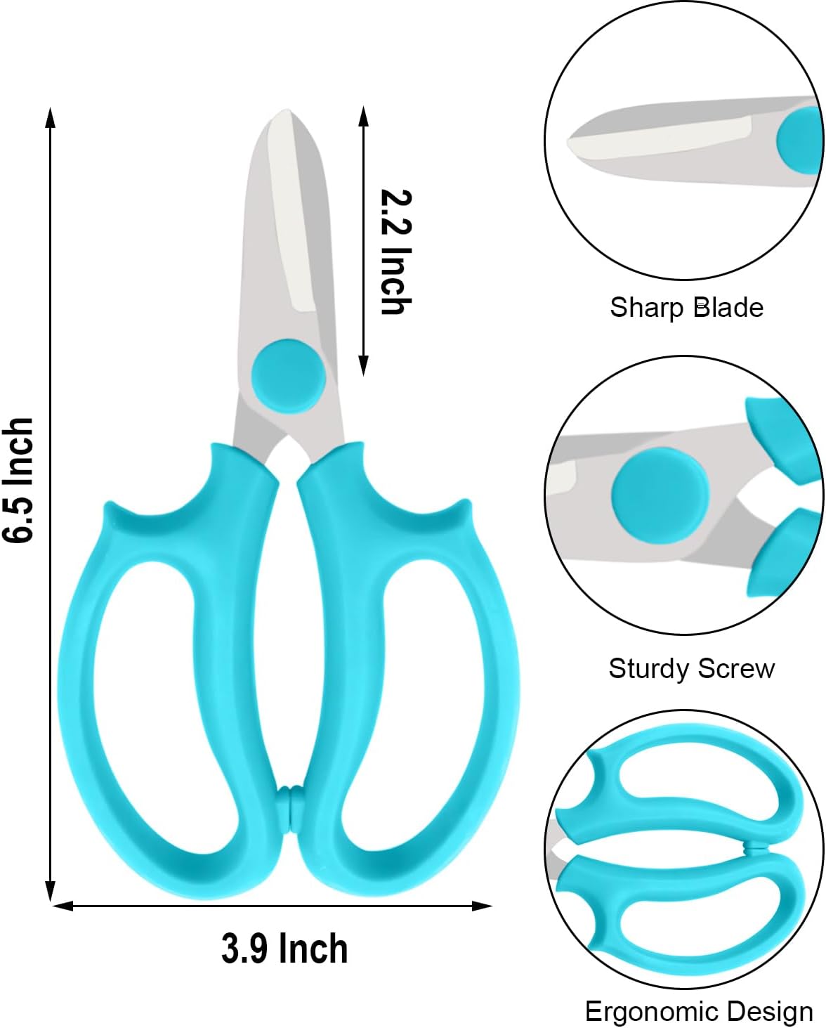 Flower Scissors - 4 Pcs Stainless Steel Flower Shears, Garden Plant Floral Shears for Fresh Flowers Stems (Blue, Green, Pink, Violet)